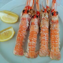 La Bodeguilla de José - Ofrecemos a nuestros clientes gran calidad también en mariscos.