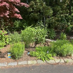 Warner Nursery & Garden Center - 1 year update: Almost a 100% return rate!! So lovely