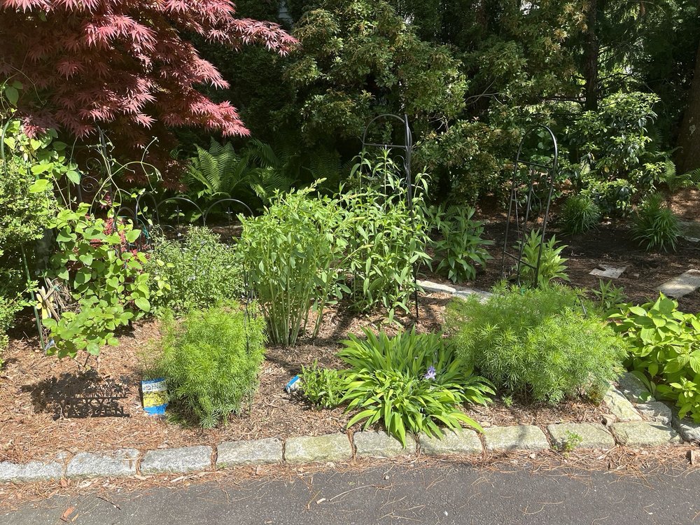 WARNER NURSERY & GARDEN CENTER - Updated April 2026 - 76 Riverside Rd ...
