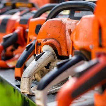 Daytona Tree Service - Tree Services Near Me - Port Orange, Florida Daytona Tree Service - Tree Services Near Me - Port Orange, Florida