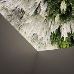 Love their ceiling decor!