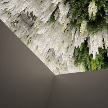 Elegance Day Spa - Love their ceiling decor! - Massage Near Me - Honolulu, Hawaii