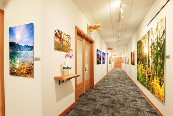 Peter James Photography Gallery