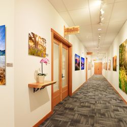 Peter James Photography Gallery
