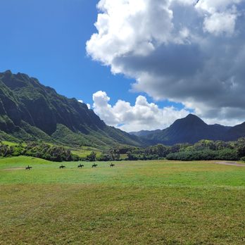 Kualoa Ranch - atv raptor adventure - Tours Near Me - Kaneohe, Hawaii Kualoa Ranch - atv raptor adventure - Tours Near Me - Kaneohe, Hawaii