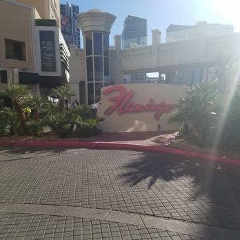 Flamingo Las Vegas - Hotels Near Me - Las Vegas, Nevada Flamingo Las Vegas - Hotels Near Me - Las Vegas, Nevada