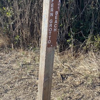 Wilder Ranch State Park - You can descend to the beach and fern grotto from old cove landing trail - Parks Near Me - Santa Cruz, California Wilder Ranch State Park - You can descend to the beach and fern grotto from old cove landing trail - Parks Near Me - Santa Cruz, California