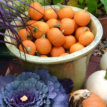 The Farmer's Daughter - Nurseries & Gardening Near Me - Wakefield, Rhode Island
