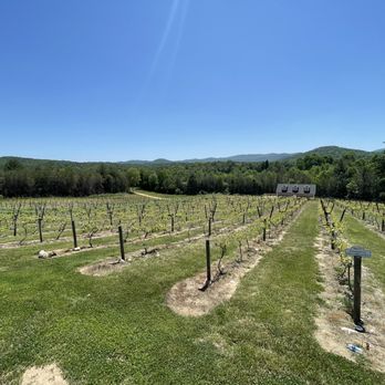 Ott Vineyards And Winery - Vineyard - Wine Tasting Room Near Me - Ellijay, Georgia Ott Vineyards And Winery - Vineyard - Wine Tasting Room Near Me - Ellijay, Georgia