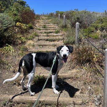 Milagra Ridge - Almost at the top! - Parks Near Me - Pacifica, California