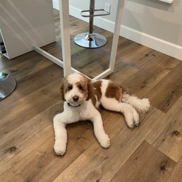 Finley post groom 2