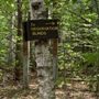 Photo of Davis Path at The Esther Currier Wildlife Management Area
