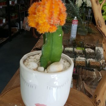 Sweet Blooms Atelier - How cute - Florists Near Me - Hermosa Beach, California