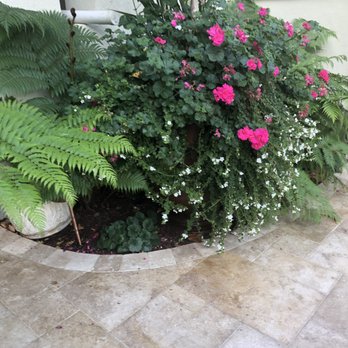 Sandoval Landscaping - Travertine courtyard with flowers and plants - Landscaping Near Me - Gilroy, California Sandoval Landscaping - Travertine courtyard with flowers and plants - Landscaping Near Me - Gilroy, California