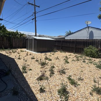 Enrique Garden Service - Before - Landscaping Near Me - Menlo Park, California Enrique Garden Service - Before - Landscaping Near Me - Menlo Park, California