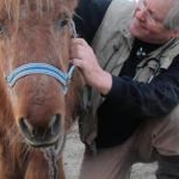 Team Dierenkliniek Klaver4Dieren