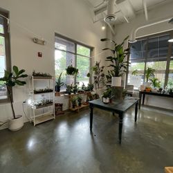 A Pot To Plant In