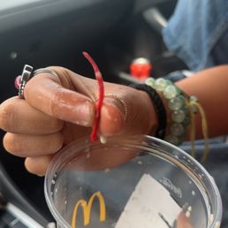 a hand holding a plastic cup with a chili in it a hand holding a plastic cup with a chili in it