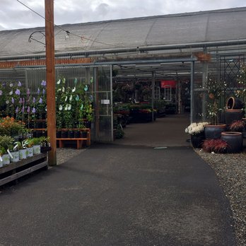 Dennis' 7 Dees Garden Center - wide selection and lots of staff to help - Nurseries & Gardening Near Me - Vancouver, Washington