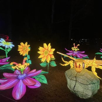 Chinese Lantern Festival - Festivals Near Me - Cary, North Carolina