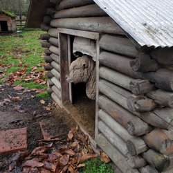 Redmond Petting Farm - A shy little sheep