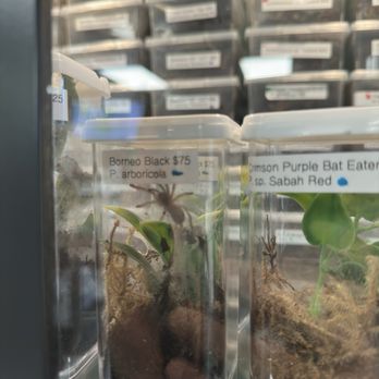 DFW Reptarium - Pet Stores Near Me - Plano, Texas
