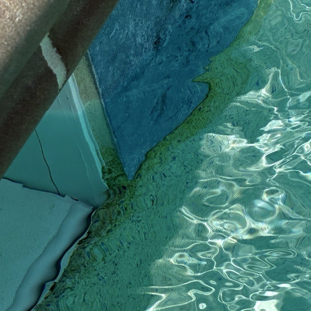 Sharper Image Pools - More algae - Pool & Hot Tub Service Near Me - Tampa, Florida Sharper Image Pools - More algae - Pool & Hot Tub Service Near Me - Tampa, Florida