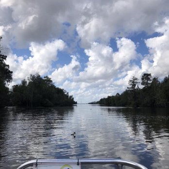 Ultimate Swamp Adventures - Tours Near Me - Westwego, Louisiana Ultimate Swamp Adventures - Tours Near Me - Westwego, Louisiana