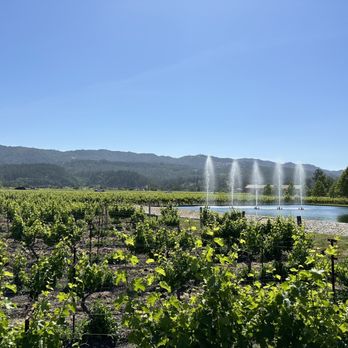Alpha Omega - Wineries Near Me - Saint Helena, California