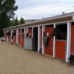 Creamayre Brook Farm - 12x12 stalls cleaned daily with daily turnout included in board