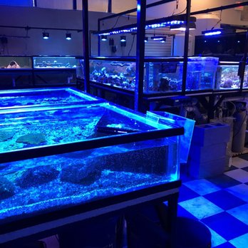 Dave's Auto Repair - They have some fun fish tanks - Auto Repair Near Me - Las Vegas, Nevada Dave's Auto Repair - They have some fun fish tanks - Auto Repair Near Me - Las Vegas, Nevada