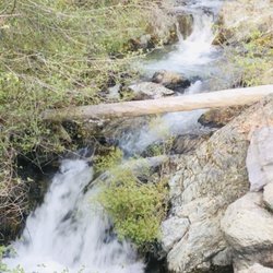 Spiritual Alignment - Ladies canyon - creek on our property