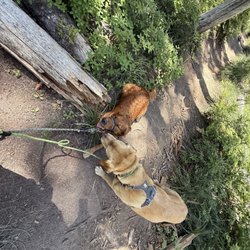 McNeil Point Trail - Took lots of breaks on the way up!