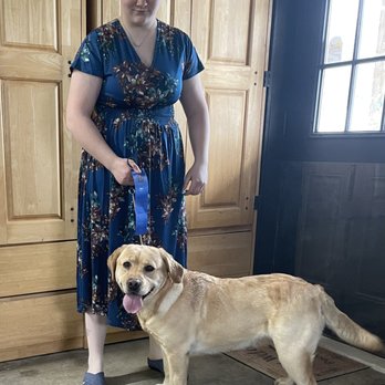 Ridgeview Labradors - Pet Training Near Me - Elkader, Iowa Ridgeview Labradors - Pet Training Near Me - Elkader, Iowa