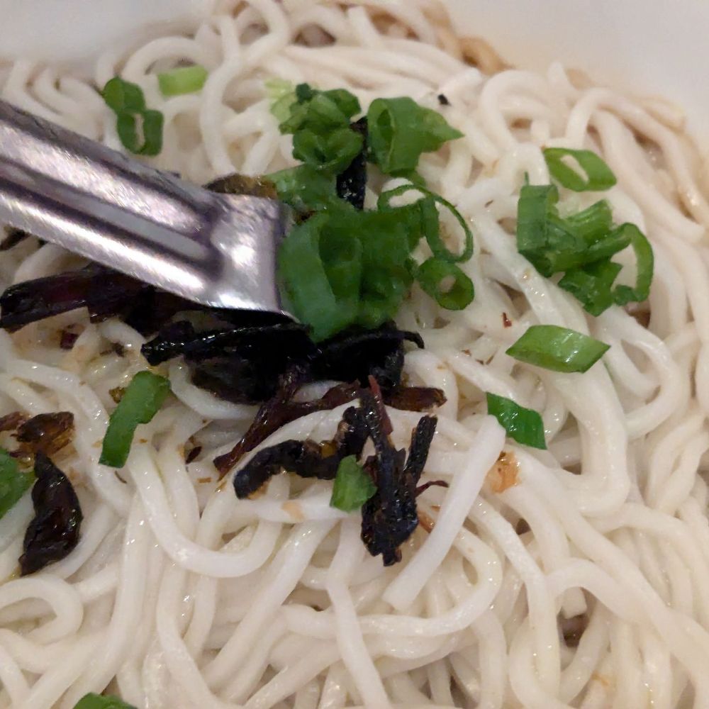 Soup Dumpling Plus - #21.Scallion Noodle - Shanghainese Near Me - Fort Lee, New Jersey Soup Dumpling Plus - #21.Scallion Noodle - Shanghainese Near Me - Fort Lee, New Jersey
