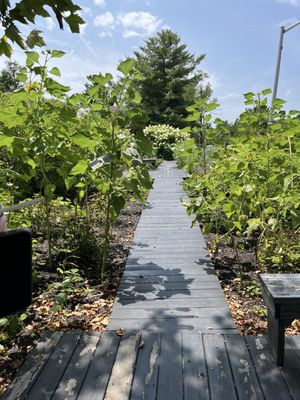 The Peggy, Walther Gardens Century Snowballs & Treats by null