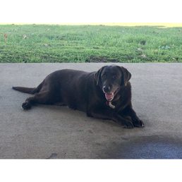 Our sweet, precious Bailey.