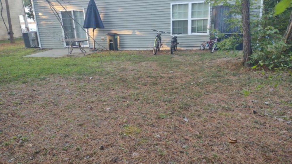 JOSHUA QUALITY LANDSCAPING Updated September 2024 Request a Quote