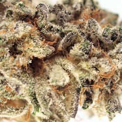 Holistic Health - Dank bud only comes from good clinics like us!