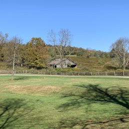 Pasture with rescued horses behind the house.