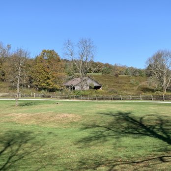 Inn at Tyler Hill - Pasture with rescued horses behind the house. - Bed & Breakfast Near Me - Tyler Hill, Pennsylvania