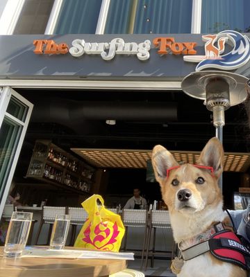 The Surfing Fox by null