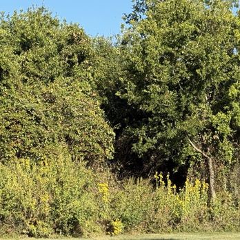 Hutto Lake Park - Parks Near Me - Hutto, Texas
