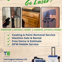 TE Laser