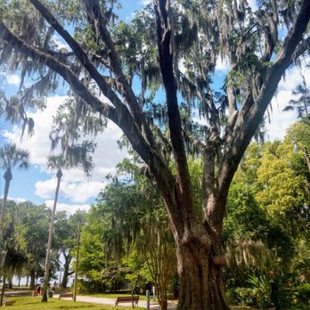 Gilbert Park - Parks Near Me - Mount Dora, Florida Gilbert Park - Parks Near Me - Mount Dora, Florida