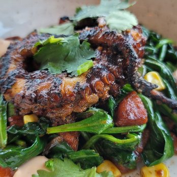 Toasted Gastrobrunch - Grilled Octopus - Breakfast & Brunch Near Me - Oceanside, California Toasted Gastrobrunch - Grilled Octopus - Breakfast & Brunch Near Me - Oceanside, California