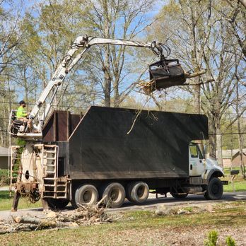 Y Professional Tree Service - Tree Services Near Me - Crossville, Alabama Y Professional Tree Service - Tree Services Near Me - Crossville, Alabama