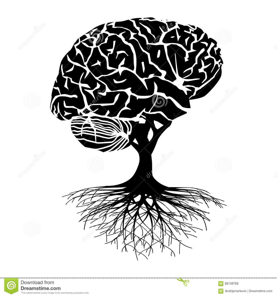 Northern Arizona TeleNeuropsychology - grief counselor in Flagstaff, AZ