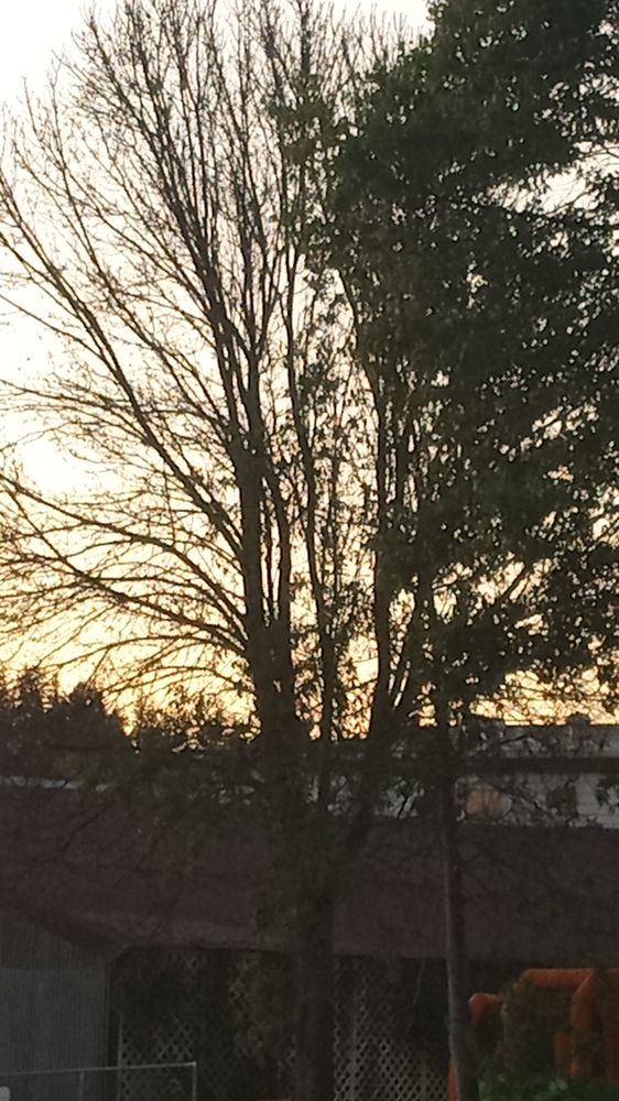 THE WEALTH OF HAVING YOUR HEALTH - Garberville, California - Health