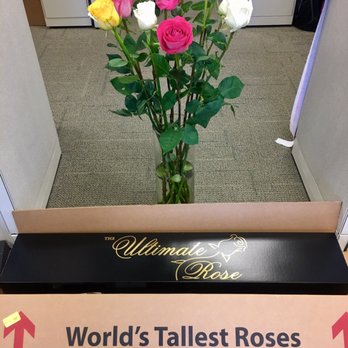 The Ultimate Rose - Special delivery and packaging - Florists Near Me - Melbourne, Florida